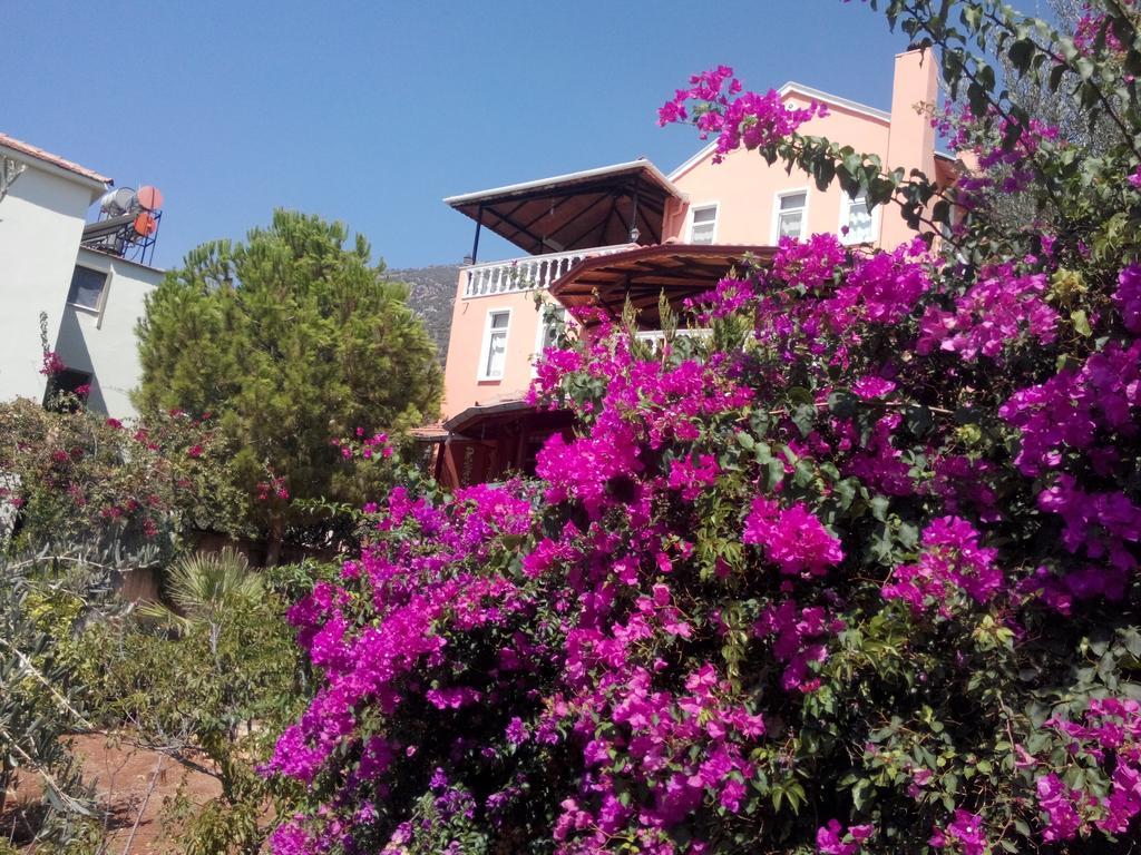 Villa Koknar Pension Kaş Pokój zdjęcie