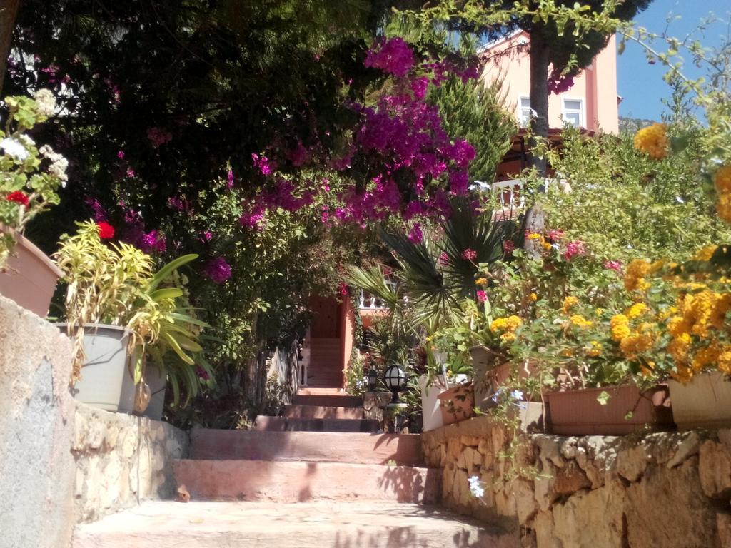 Villa Koknar Pension Kaş Pokój zdjęcie