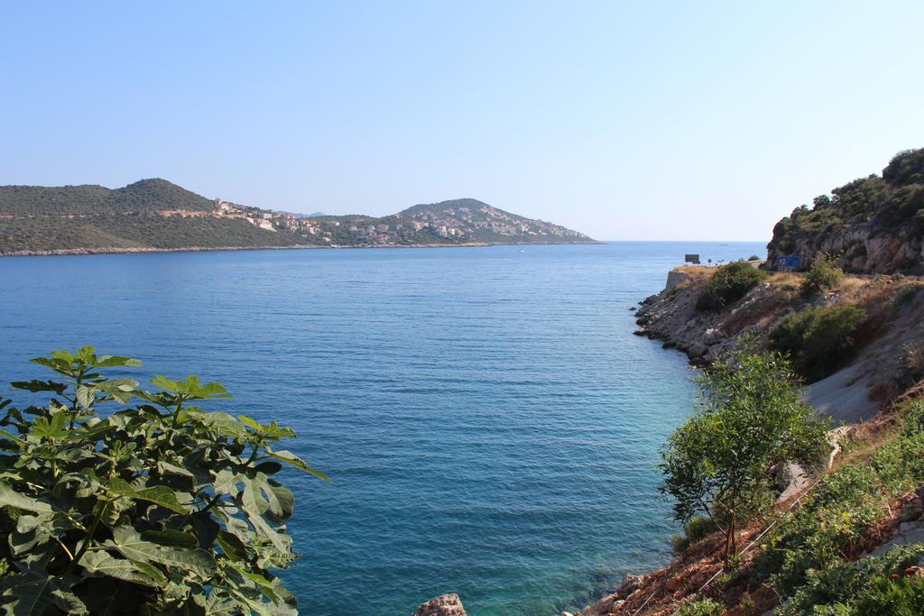 Villa Koknar Pension Kaş Pokój zdjęcie