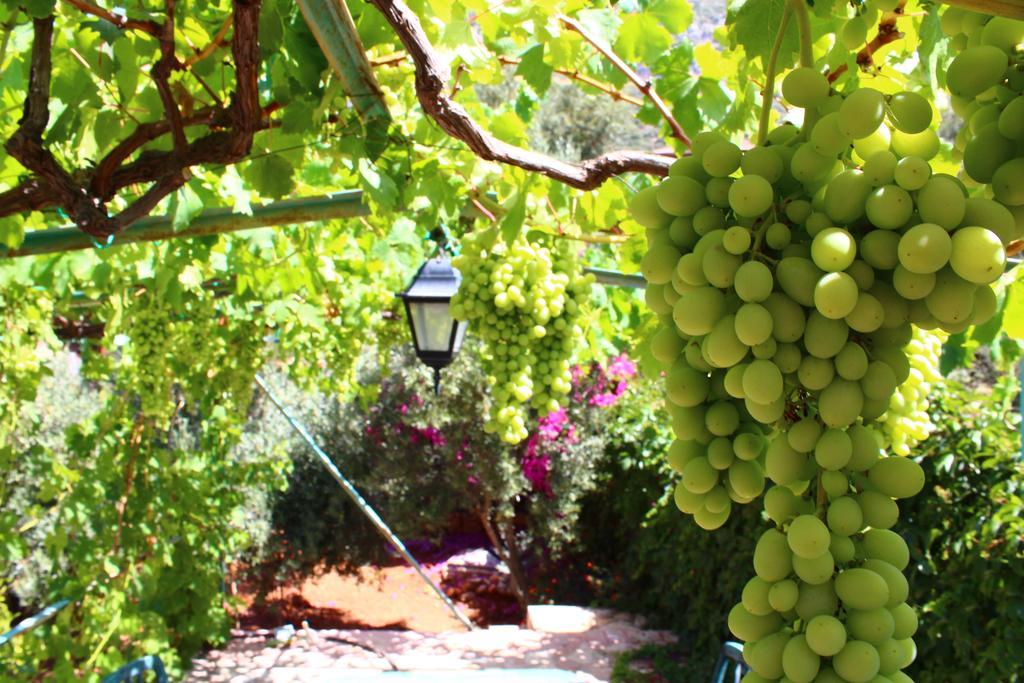 Villa Koknar Pension Kaş Zewnętrze zdjęcie