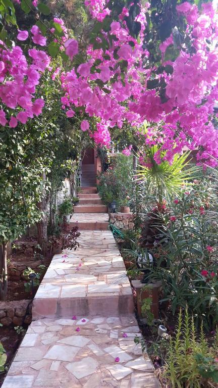 Villa Koknar Pension Kaş Zewnętrze zdjęcie